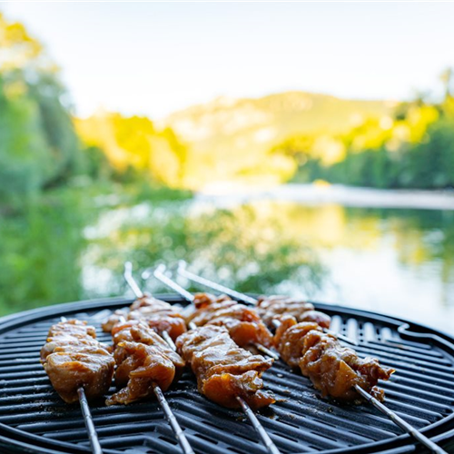 3-star campsite on the banks of the Tarn in Millau South of France